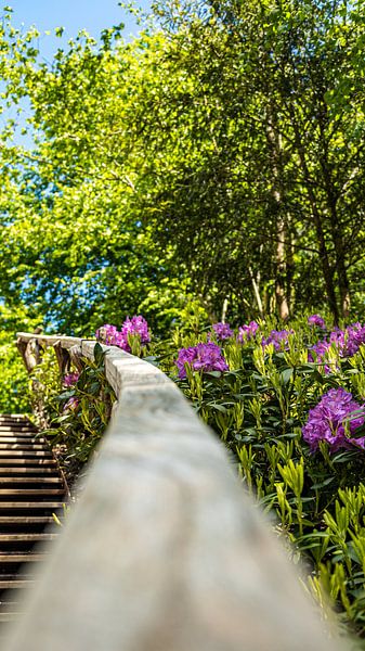 Promenade en forêt par It's Sobi