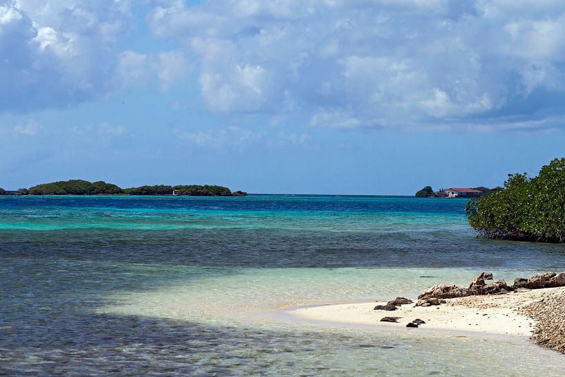 malmok beach aruba von gea strucks