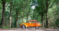 Citroën 2CV im Wald