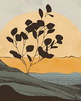 Eucalyptus tree at sunset