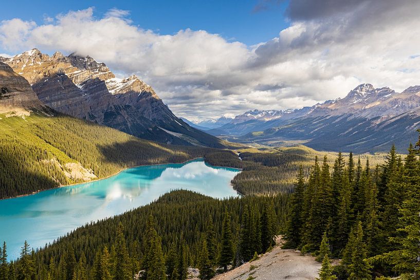 Peyto See in den Rocky Mountains von Roland Brack