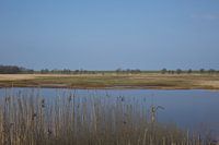 sky reflected in water