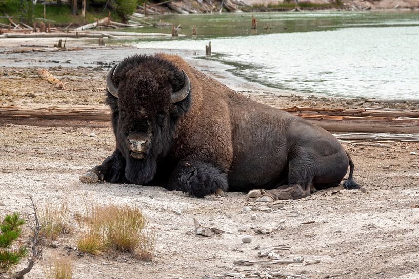 Parc national de Yellowstone par Studio Retouched fotoshop