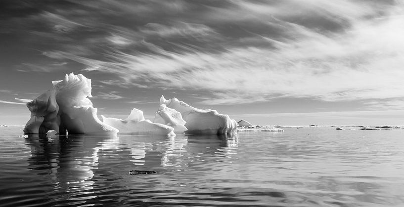 La chaussure de glace par Carol Thoelen