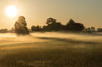 Sonnenaufgang mit Nebel