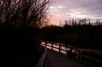 Steg in der Dämmerung