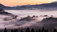 Mystical fog over Bennau, Canton Schwyz