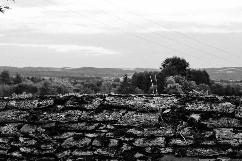 Le mur par Bart Houtman