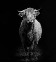 'Je suis' - Scottish Highlander