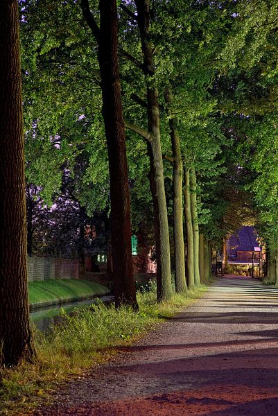 Contraste des couleurs par Mariska Hofman