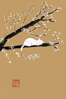 sleeping white cat in the tree