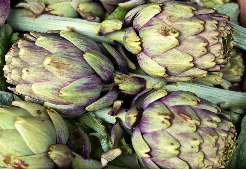 Fresh Sicilian artichokes by Silva Wischeropp