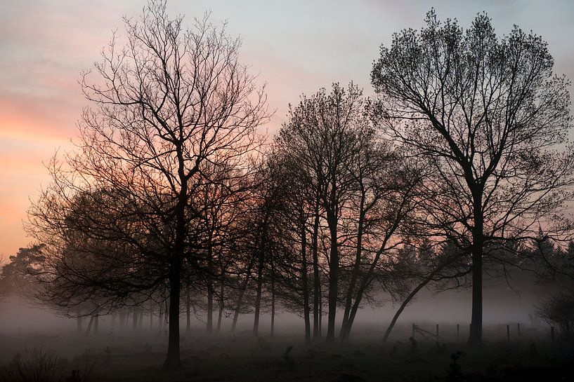 Evening mist in a winter landscape by Hanneke Luit