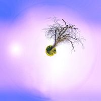 Miniplaneet in Waals-Brabant