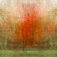 Evengarden I Der Baum als Sinnbild der Natur