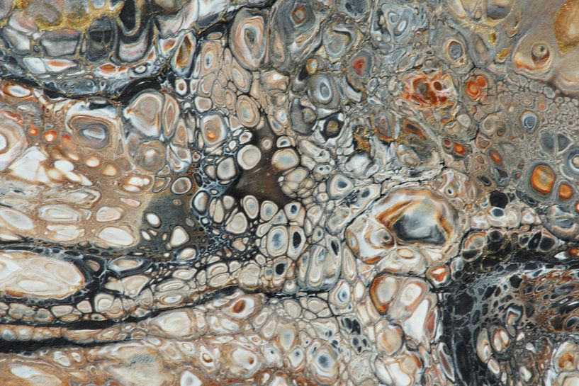 Afrika von Carla Mesken-Dijkhoff