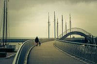 Walker with dog on the promenade in Harlingen