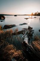 Skandinavischer Sonnenuntergang mit Holztextur