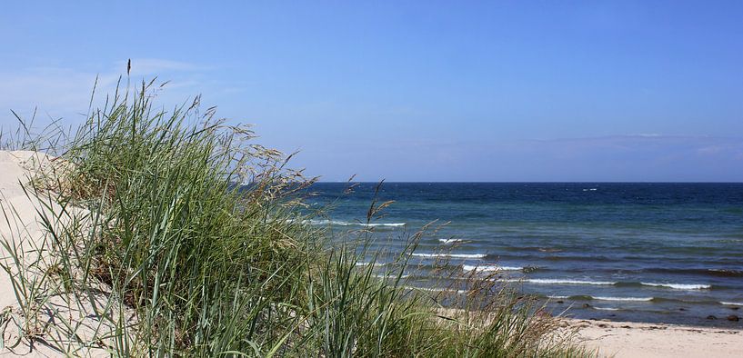 Summer Dunes by Ostsee Bilder
