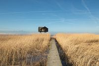 le kiekkaaste, nouveau statenzijl