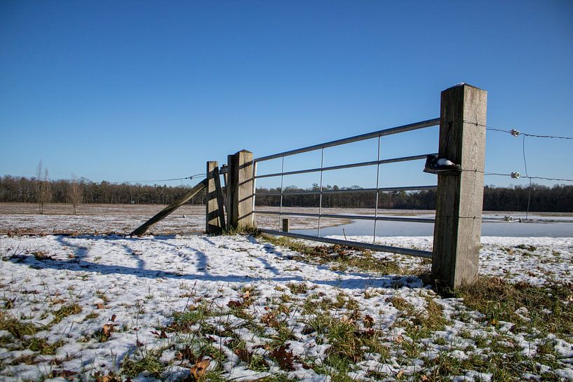 Metalen hek in de winter bij natuurgebied by Prints of Place