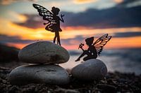 shy in the evening light