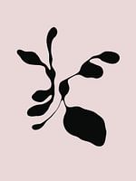 Danseurs biologiques