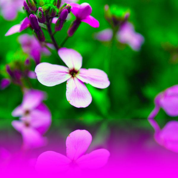 deep summer  van M.A. Ziehr