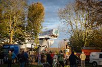 Vom Schwanz des Wals gerettet