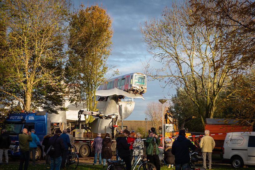 Vom Schwanz des Wals gerettet von Fons Simons