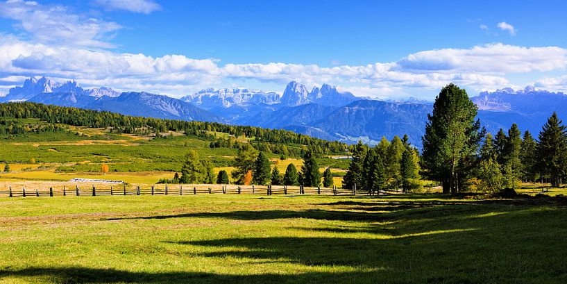 Panoramablick auf der Villanderer Alm - Südtirol von Gisela Scheffbuch