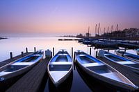 Blue sunrise - Leekstermeer, Netherlands