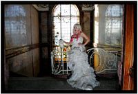 La mariée et le hibou