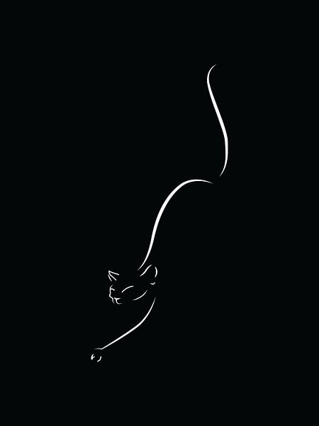 Kat, zwart van Kemona art