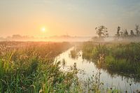 Soleil sur des méandres profonds