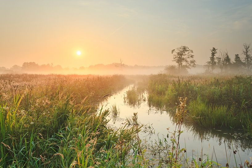 Sun over meandering deep by Karla Leeftink