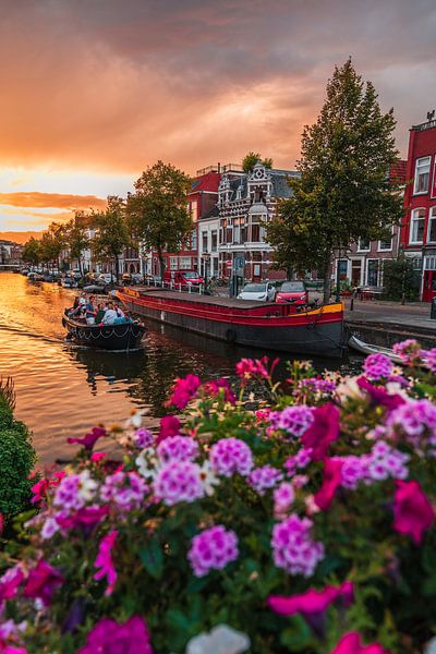 Leiden - Boat on the Silent Rhine seen from crow bridge (0035) by Reezyard