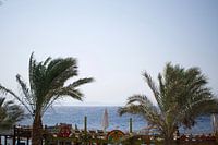 Terrasse und Palmen am Meer