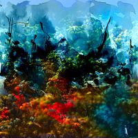 SAILING DEEPEST CORAL SEAS