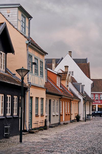 Odense 2 von Lisa Bouwman