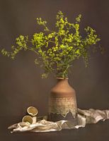 Stilleben in schönen Farben