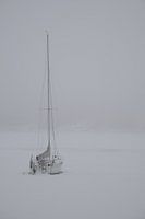 Seilschif im Oslofjord im Eis