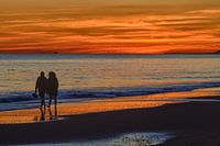 El Atlantico after sunset