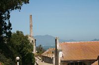 Alcatraz island 13