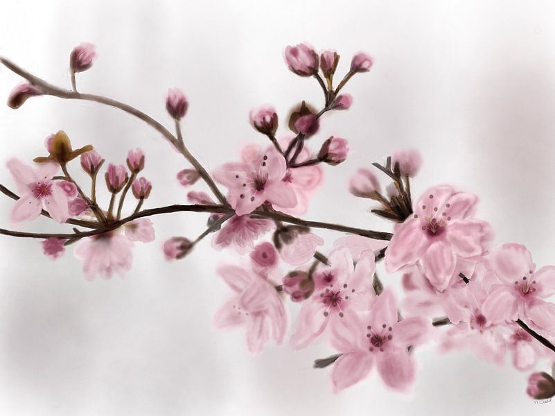 Frühling in Vorfreude von Natascha Dokter