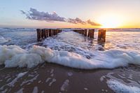 Foam on the coast of Zeeland