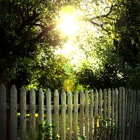 If I'm dreaming, let me dream 