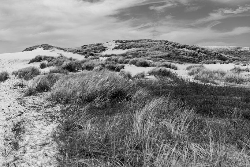 Dune landscape near the Kerf by Rob Donders Beeldende kunst