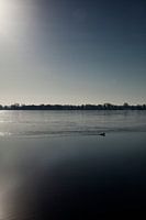 Winters zwemmen in Nannewiid