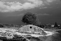 Bedrohung und scharfe Kontraste